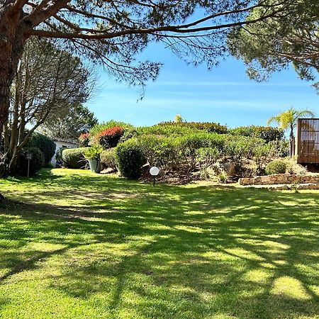 Les Pins De Santa Giulia Villa Porto-Vecchio  Eksteriør billede